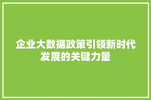企业大数据政策引领新时代发展的关键力量