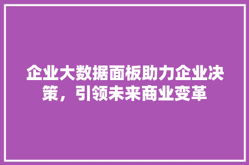 企业大数据面板助力企业决策,引领未来商业变革 企业大数据面板助力企业决策,引领未来商业变革