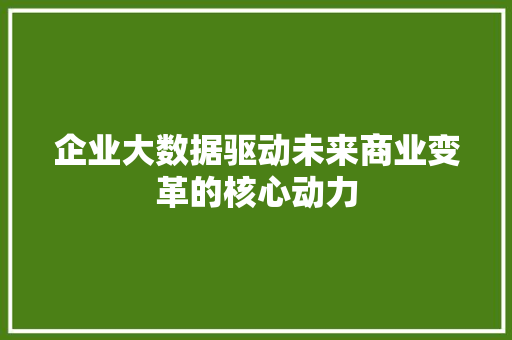 企业大数据驱动未来商业变革的核心动力