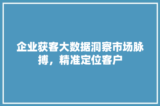 企业获客大数据洞察市场脉搏,精准定位客户 企业获客大数据洞察市场脉搏,精准定位客户