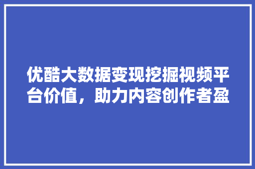 优酷大数据变现挖掘视频平台价值，助力内容创作者盈利新篇章