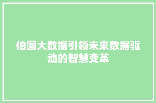 伯图大数据引领未来数据驱动的智慧变革