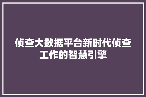 侦查大数据平台新时代侦查工作的智慧引擎