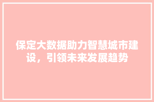保定大数据助力智慧城市建设，引领未来发展趋势