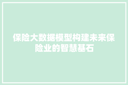 保险大数据模型构建未来保险业的智慧基石