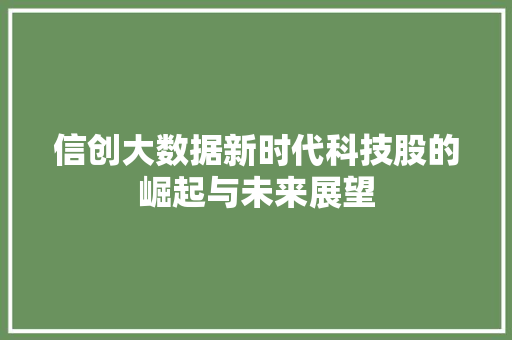 信创大数据新时代科技股的崛起与未来展望 信创大数据新时代科技股的崛起与未来展望