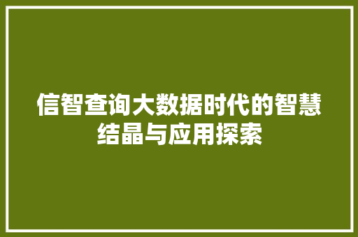 信智查询大数据时代的智慧结晶与应用探索 信智查询大数据时代的智慧结晶与应用探索