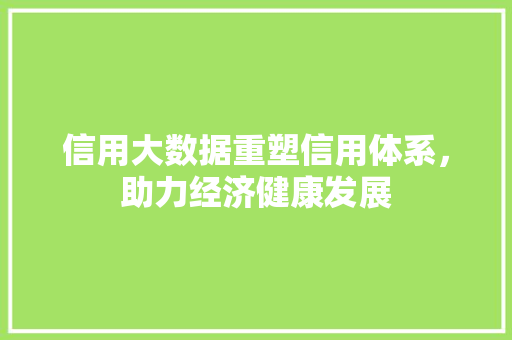 信用大数据重塑信用体系，助力经济健康发展