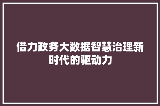 借力政务大数据智慧治理新时代的驱动力