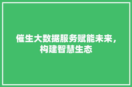 催生大数据服务赋能未来，构建智慧生态