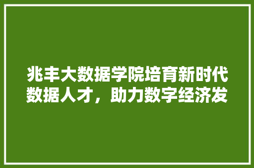 兆丰大数据学院培育新时代数据人才，助力数字经济发展