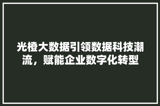 光橙大数据引领数据科技潮流，赋能企业数字化转型