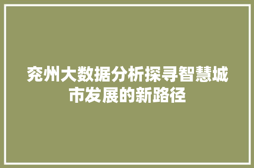 兖州大数据分析探寻智慧城市发展的新路径 兖州大数据分析探寻智慧城市发展的新路径