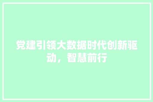 党建引领大数据时代创新驱动,智慧前行 党建引领大数据时代创新驱动,智慧前行