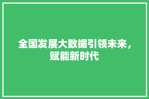 全国发展大数据引领未来,赋能新时代 全国发展大数据引领未来,赋能新时代