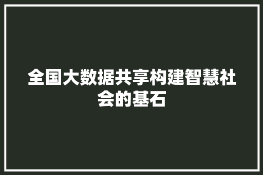 全国大数据共享构建智慧社会的基石