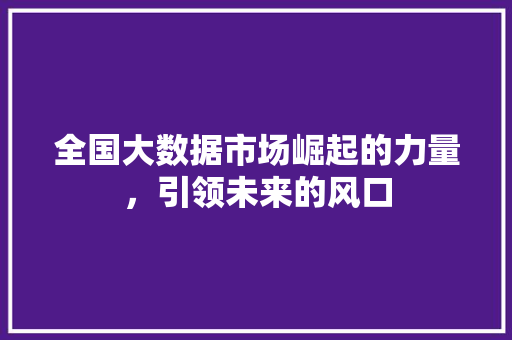 全国大数据市场崛起的力量，引领未来的风口