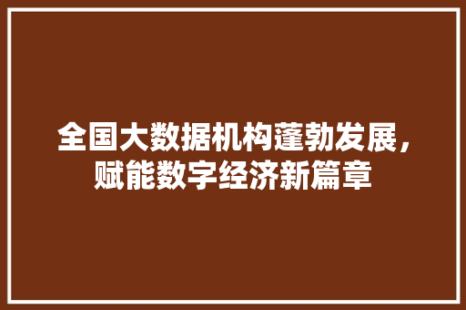 全国大数据机构蓬勃发展，赋能数字经济新篇章