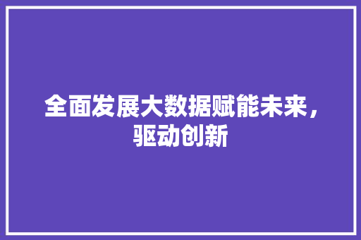全面发展大数据赋能未来,驱动创新 全面发展大数据赋能未来,驱动创新