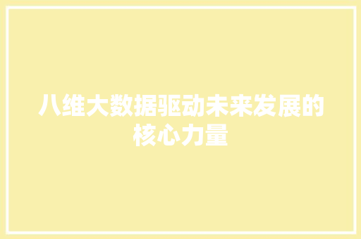 八维大数据驱动未来发展的核心力量