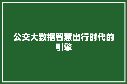 公交大数据智慧出行时代的引擎 公交大数据智慧出行时代的引擎