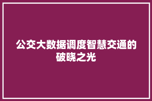 公交大数据调度智慧交通的破晓之光 公交大数据调度智慧交通的破晓之光