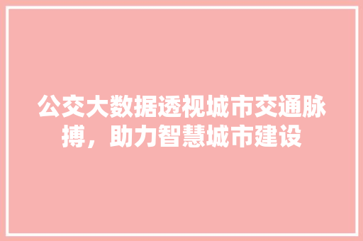 公交大数据透视城市交通脉搏,助力智慧城市建设 公交大数据透视城市交通脉搏,助力智慧城市建设