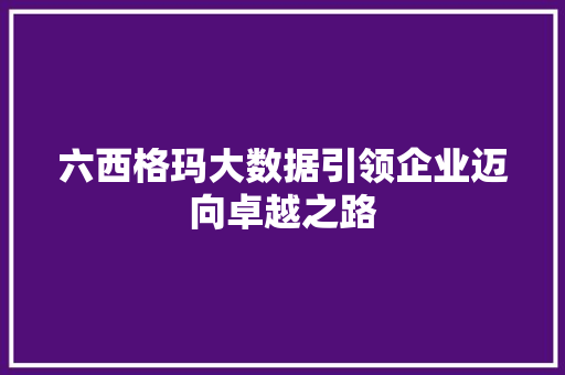 六西格玛大数据引领企业迈向卓越之路