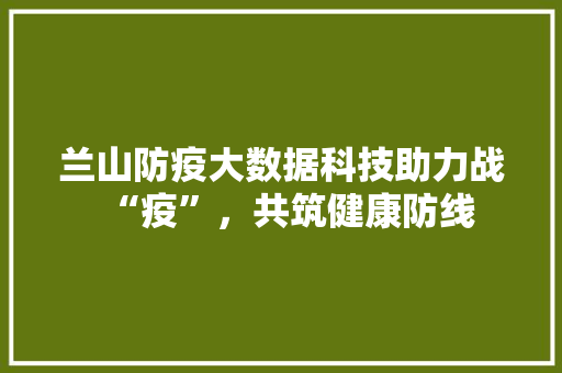 兰山防疫大数据科技助力战“疫”，共筑健康防线