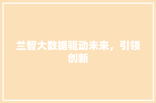 兰智大数据驱动未来，引领创新