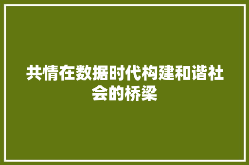 共情在数据时代构建和谐社会的桥梁 共情在数据时代构建和谐社会的桥梁