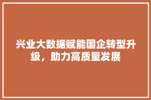 兴业大数据赋能国企转型升级，助力高质量发展