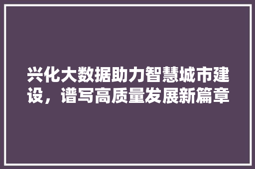 兴化大数据助力智慧城市建设，谱写高质量发展新篇章