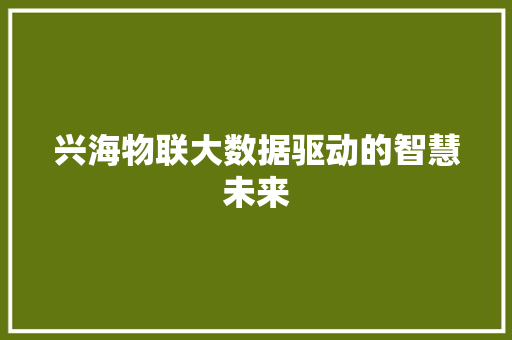兴海物联大数据驱动的智慧未来