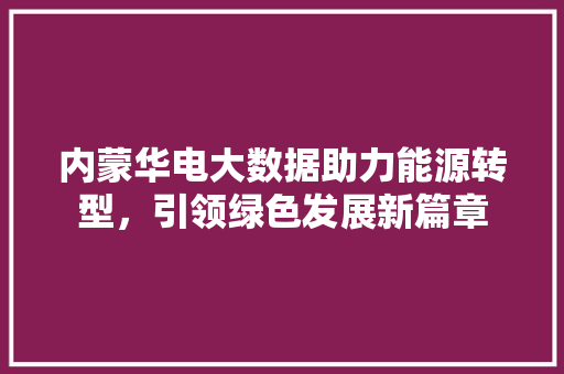 内蒙华电大数据助力能源转型，引领绿色发展新篇章