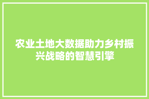 农业土地大数据助力乡村振兴战略的智慧引擎