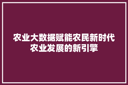 农业大数据赋能农民新时代农业发展的新引擎