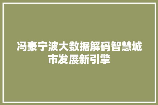 冯豪宁波大数据解码智慧城市发展新引擎 冯豪宁波大数据解码智慧城市发展新引擎