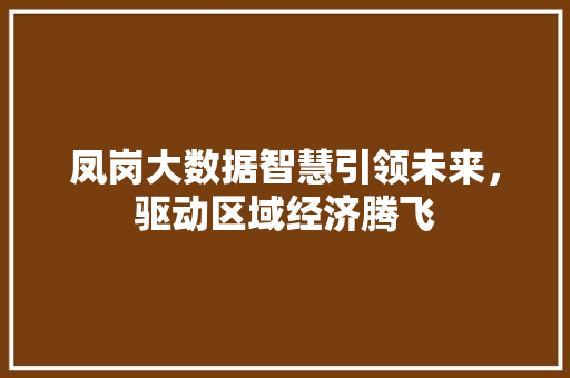 凤岗大数据智慧引领未来,驱动区域经济腾飞 凤岗大数据智慧引领未来,驱动区域经济腾飞