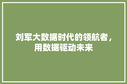 刘军大数据时代的领航者，用数据驱动未来