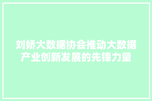 刘娇大数据协会推动大数据产业创新发展的先锋力量