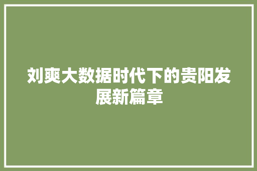 刘爽大数据时代下的贵阳发展新篇章