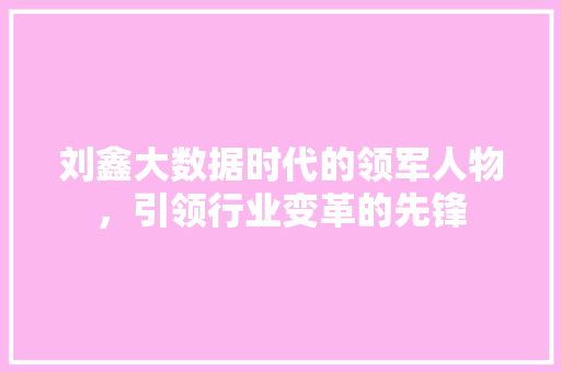 刘鑫大数据时代的领军人物，引领行业变革的先锋