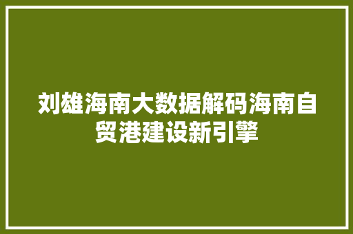 刘雄海南大数据解码海南自贸港建设新引擎