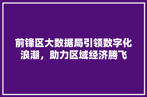 前锋区大数据局引领数字化浪潮，助力区域经济腾飞