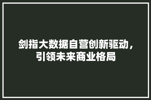 剑指大数据自营创新驱动，引领未来商业格局 电脑故障维修