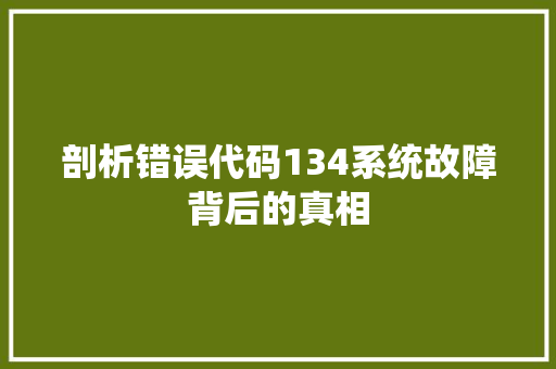 剖析错误代码134系统故障背后的真相