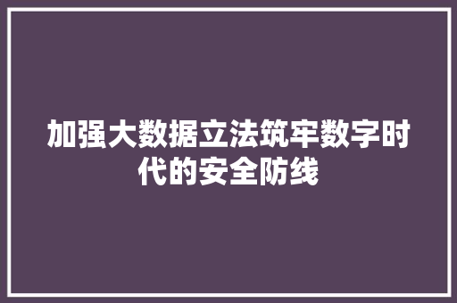 加强大数据立法筑牢数字时代的安全防线