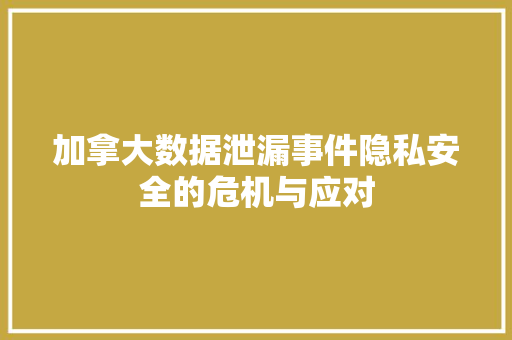 加拿大数据泄漏事件隐私安全的危机与应对
