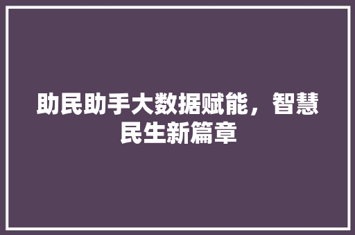 助民助手大数据赋能，智慧民生新篇章